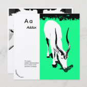 Addax/Oryx ~ Miriam Kilmer, gerecycleerd materiaal (Voorkant / Achterkant)