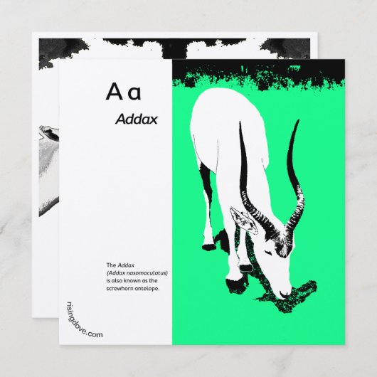 Addax/Oryx ~ Miriam Kilmer, gerecycleerd materiaal (Voorkant / Achterkant)