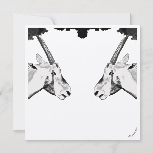 Addax/Oryx ~ Miriam Kilmer, gerecycleerd materiaal (Achterkant)