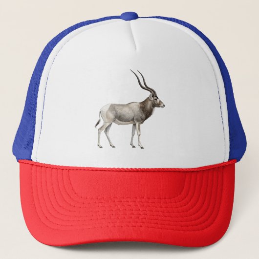 Addax Trucker Pet (Voorkant)