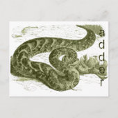 Adder (slang) briefkaart (Voorkant)