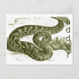 Adder (slang) briefkaart
