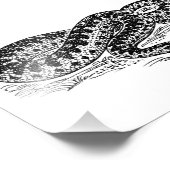 Adder Snake Foto Afdruk (Hoek)