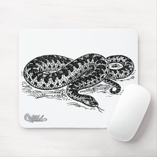 Adder Snake Muismat (Met muis)