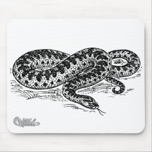 Adder Snake Muismat