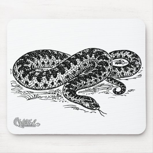 Adder Snake Muismat (Voorkant)