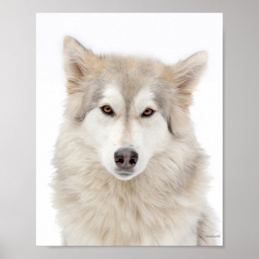 Addie van A Street Poster (Voorkant)