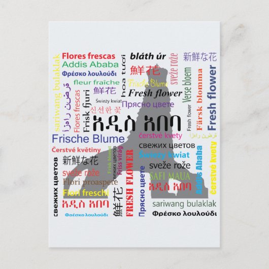 Addis Abeba Briefkaart (Voorkant)
