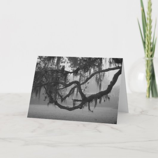 ADDIS HOUSE KAART (Voorkant)