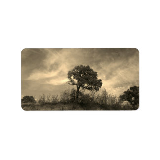 ADDRESS LABELS ART AND DESIGN