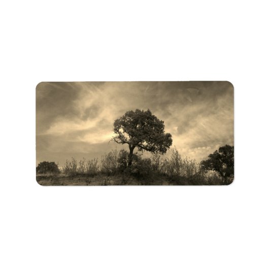 ADDRESS LABELS ART AND DESIGN (Voorkant)