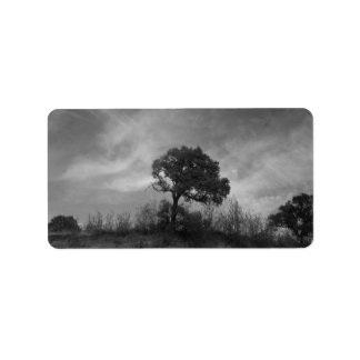 ADDRESS LABELS ART AND DESIGN