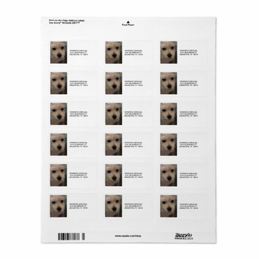 ADDRESS LABELS W/SCHNAUZER (Full Sheet)