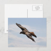 Adelaar aan de hemel briefkaart (Voorkant / Achterkant)