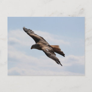 Adelaar aan de hemel briefkaart