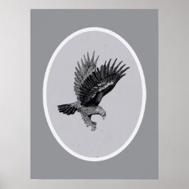 Adelaar bij Licht    Poster