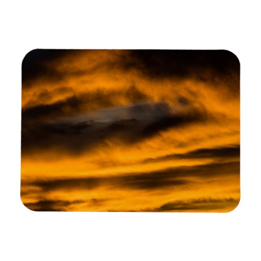 adelaar burnout magneet (Horizontaal)