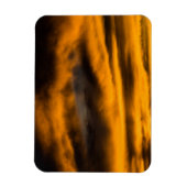 adelaar burnout magneet (Verticaal)