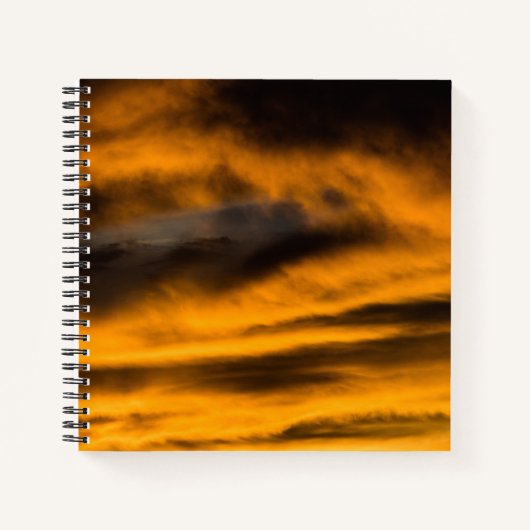 adelaar burnout notitieboek (Voorkant)
