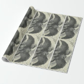 Adelaar Cadeaupapier (Uitgerold)