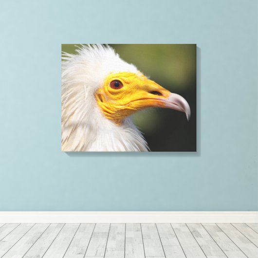 Adelaar Canvas Afdruk (Insitu (Houten vloer))