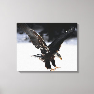 Adelaar en ijs canvas afdruk