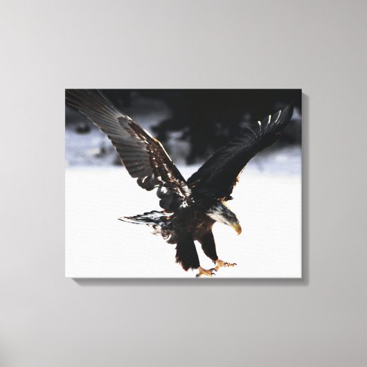 Adelaar en ijs canvas afdruk (Voorkant)