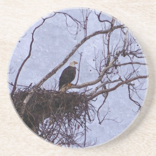 Adelaar En Nest Schilderachtig Zandsteen Onderzetter