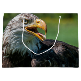 adelaar foto large cadeautasje