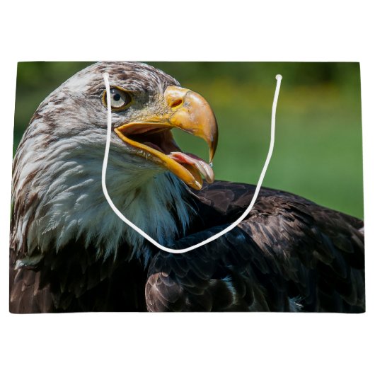 adelaar foto large cadeautasje (Voorkant)