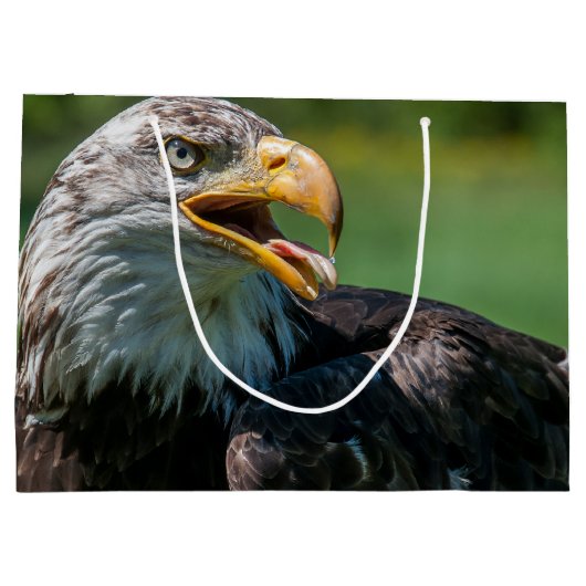 adelaar foto large cadeautasje (Achterkant)