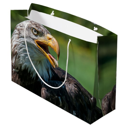 adelaar foto large cadeautasje (Achterkant Gekanteld)