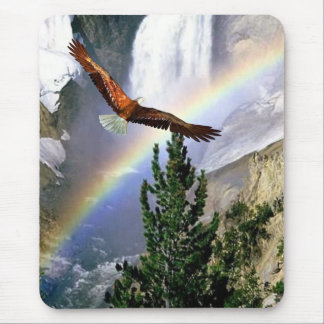  adelaar in de Muismat van de vlucht