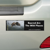 ADELAAR, KRAAI, TOTEM POLE & MISTY FOREST Gifts Bumpersticker (Op auto)