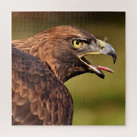 Adelaar legpuzzel (Verticaal)