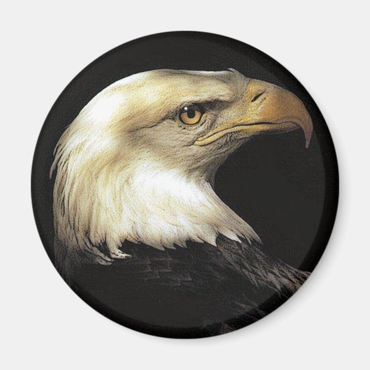 adelaar magneet (Voorkant)