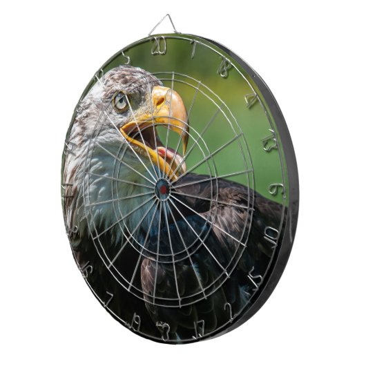 Adelaar pijlspel dartbord (Voorkant Rechts)