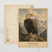 Adelaar Rocky Mountains VINTAGE Briefkaart (Voorkant / Achterkant)