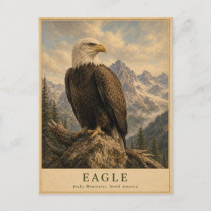 Adelaar Rocky Mountains VINTAGE Briefkaart