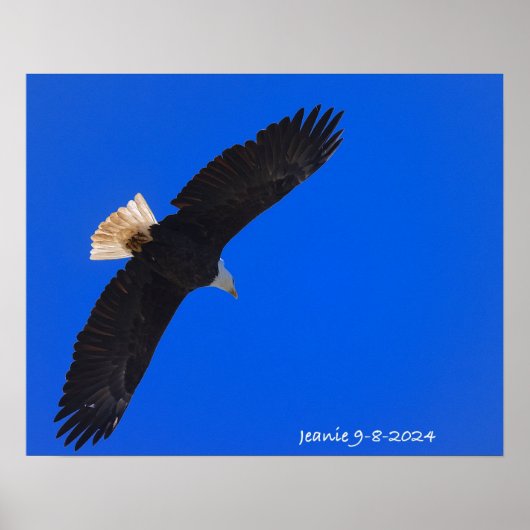 Adelaar tegen een blauwe lucht poster (Voorkant)