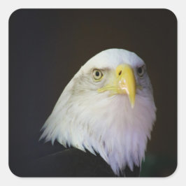 adelaar vierkante sticker