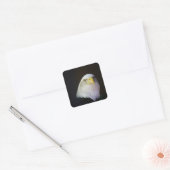 adelaar vierkante sticker (Envelop)