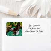 Adelaar Vliegen over de rivier in de bergen Etiket (Insitu)