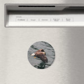 Adelaar vliegend met vleugels uit magneet (Insitu (Vaatwasser))