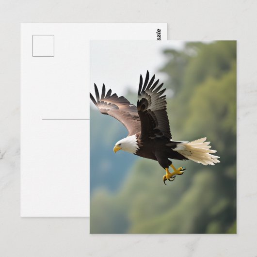 Adelaar zweeft door de lucht briefkaart (Voorkant / Achterkant)
