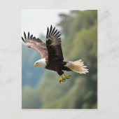 Adelaar zweeft door de lucht briefkaart (Voorkant)