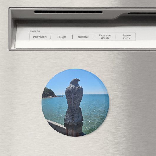 Adelaarmagneten Magneet (Insitu (Vaatwasser))