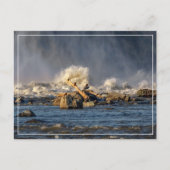 Adelaars en ruw water briefkaart (Voorkant)