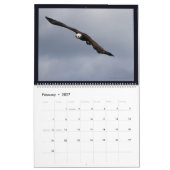 Adelaars in Alaska II Kalender (Feb 2027)
