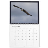 Adelaars in Alaska II Kalender (Feb 2026)